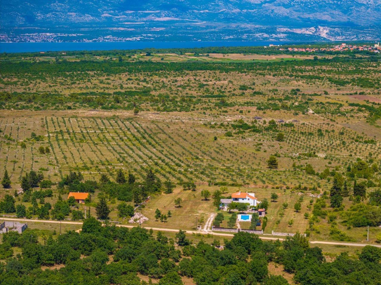 זאדאר Villa Mandorla With Private Pool מראה חיצוני תמונה